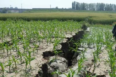 Kako zemljotresi utiču na sigurnost hrane koja se temelji na poljoprivredi