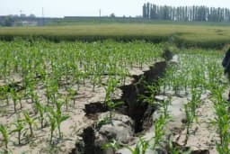 Kako zemljotresi utiču na sigurnost hrane koja se temelji na poljoprivredi