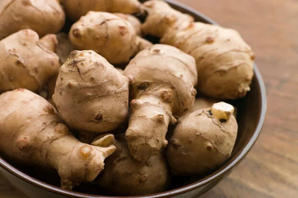 ČIČOKA: Uzgoj, sadnja i ljekovita svojstva