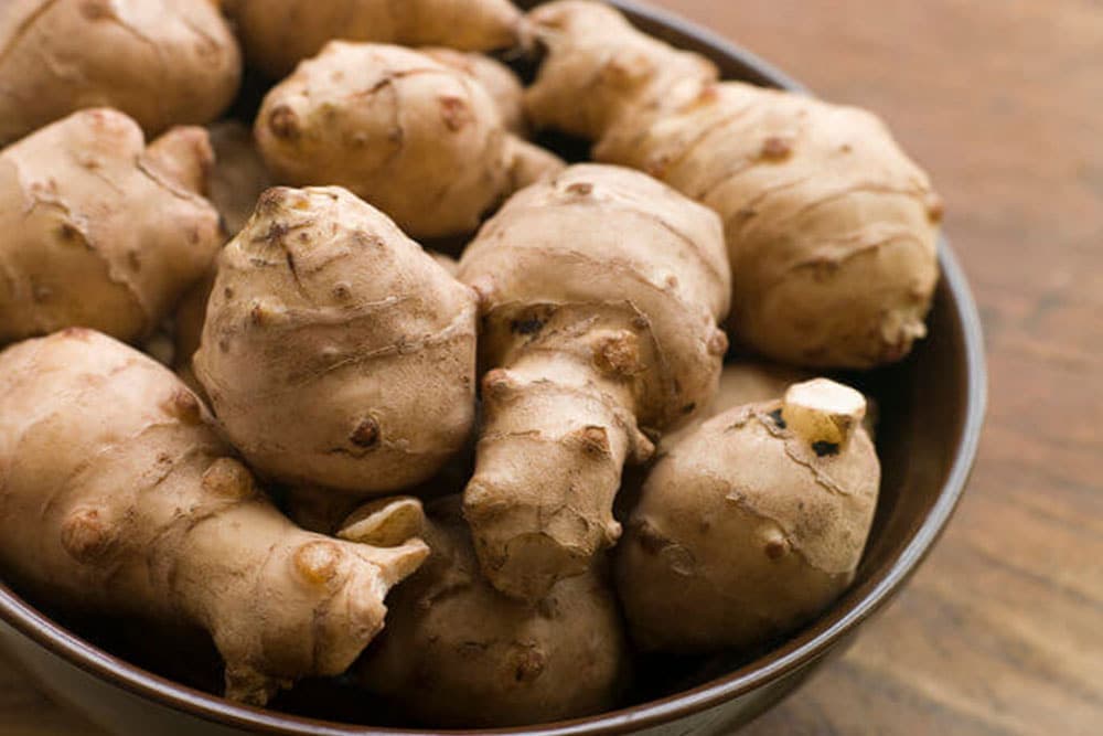 ČIČOKA: Uzgoj, sadnja i ljekovita svojstva