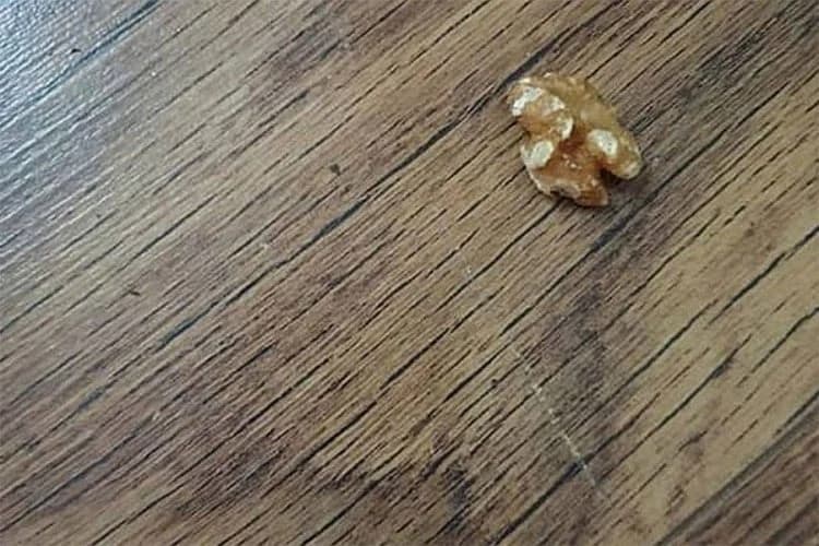 Pomoću ove namirnice očistite ogrebotine po laminatu?