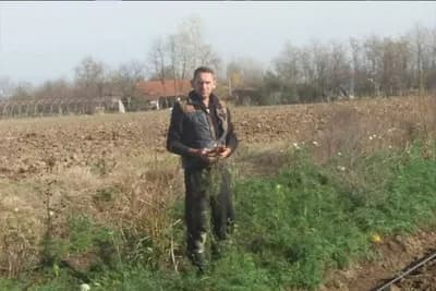 Povrće ekstra kvaliteta, ali nemaju ga kome prodati