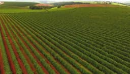 Eksperimentalne kulture konoplje i kafe biće uzgajane u svemiru