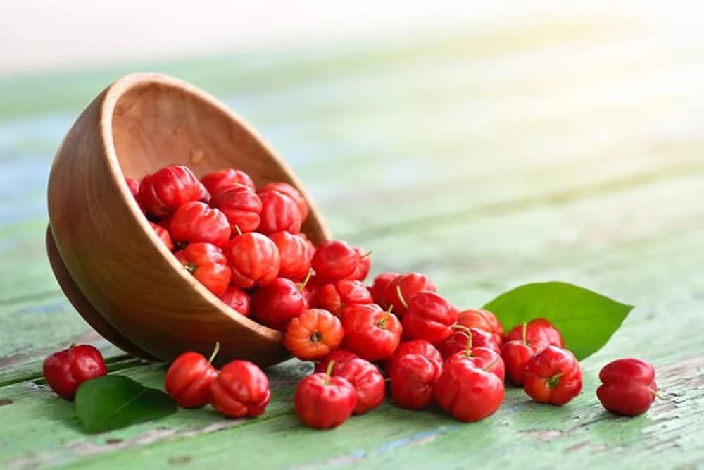 PIJE SE DVA PUTA DNEVNO I ČINI ČUDO ZA TIJELO - Ova biljka će vas oduševiti