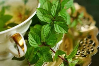 Napravite sami sprej protiv virusa i prehlada - Svakog dana ga koristite i napravite štit oko svog organizma /RECEPT/