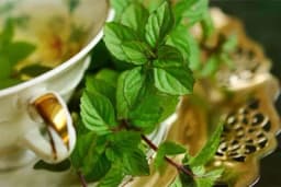 Napravite sami sprej protiv virusa i prehlada - Svakog dana ga koristite i napravite štit oko svog organizma /RECEPT/