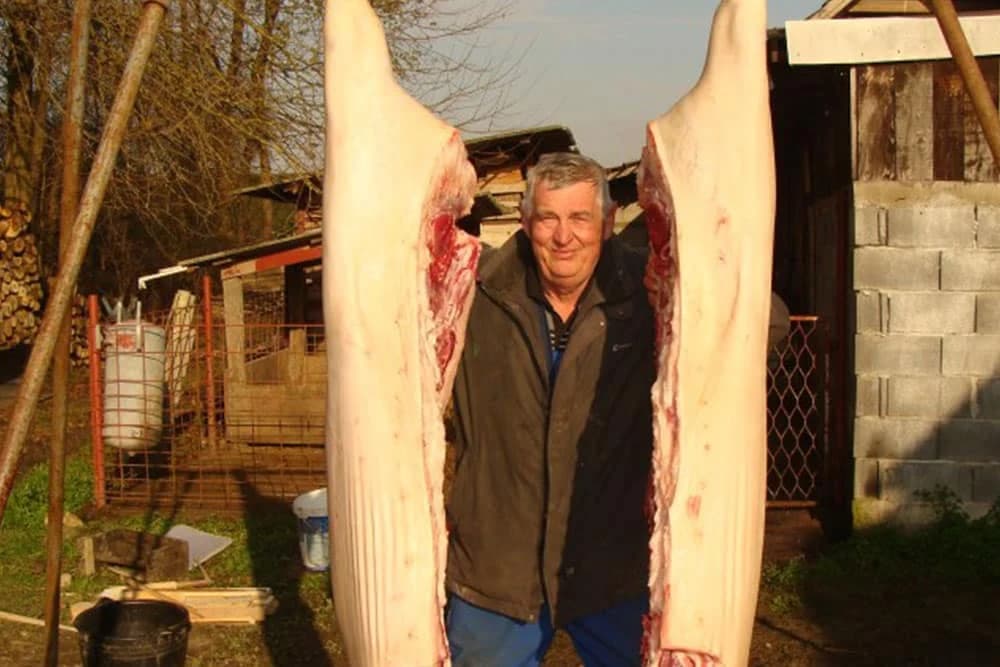 Svinjokolj kod Barišića kao međudržavni događaj