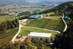 Pogledajte kako izgleda Malak Farma, jedinstvena lokacija seoskog turizma i organske poljoprivrede i stočarstva