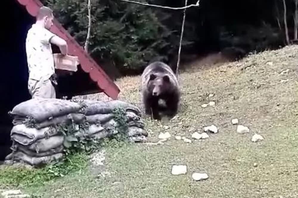 NANJUŠIO DOBRU KLOPU Medvjed redovno dolazi na ručak do restorana na Igmanu (VIDEO)