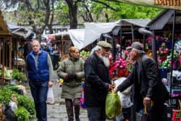 U BIJELJINI organizovan PRVI PIJAČNI BAZAR na Zelenoj pijaci