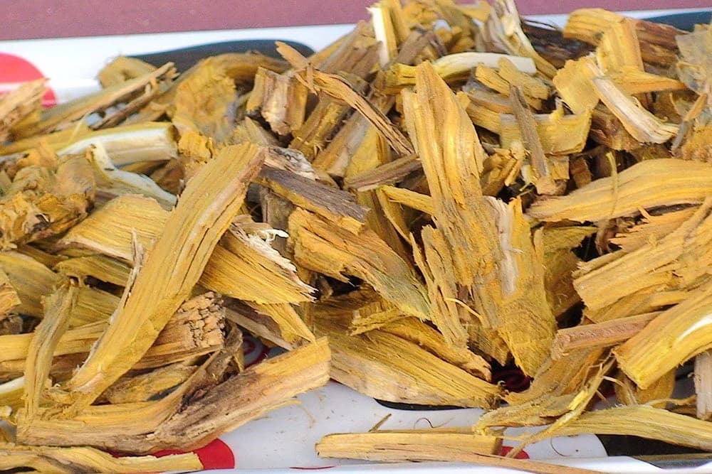 BLAGODATI JEDNE BILJKE: Rujevina - spas za urinarne i bubrežne bolesti pa čak i karcinom