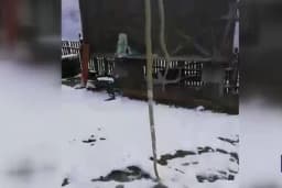 Pojavila se zmija u snijegu kod Miloja: Ovo ne sluti na dobro, moguća prirodna katostrofa i zemljotres