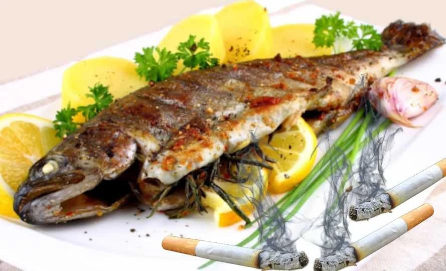 Istraživanja kažu da ove namirnice štete organizmu više nego cigarete, da li se slažete?