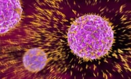 Otkriven virus koji ljude čini glupljim