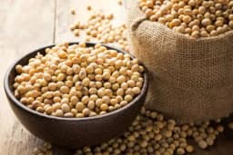 ŠTA SVE TREBA DA ZNATE O LECITINU