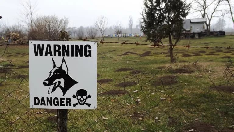 Poljoprivrednici pored rijeke Save na razne načine štite svoju imovinu