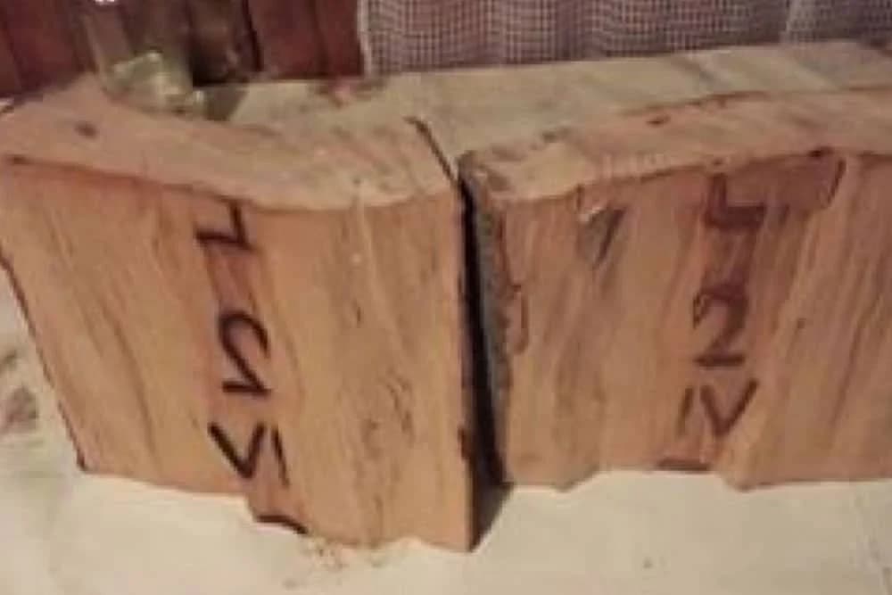 DANA IZ VIŠEGRADA JE CJEPALA DRVA ZA OGRJEV, a onda ugledala nešto OD ČEGA SE ZALEDILA! (FOTO)