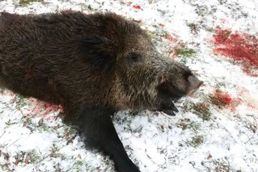 Mitovi o zimi u koje su ljudi nekada vjerovali