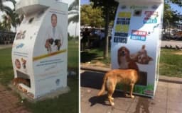 OVO JE FENOMENALNO: Uređaj za reciklažu – ubaciš flašu, izbaci hranu za ulične ljubimce/VIDEO/