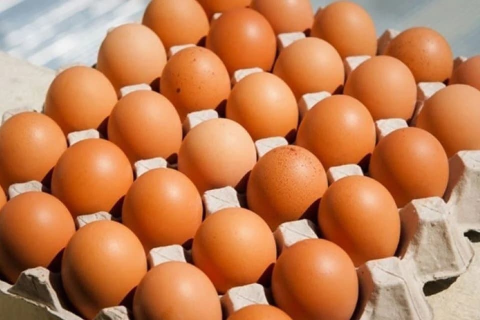 Namirnice koje sigurno prerano bacate