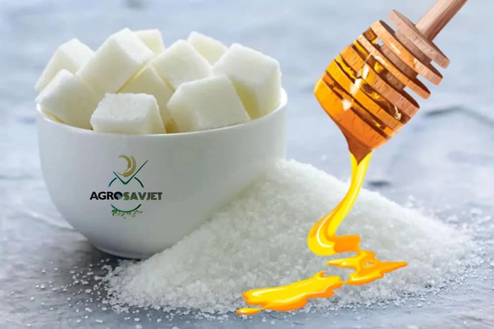 Da li je med zdraviji od šećera?