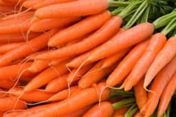 Kako se proizvodi rana šargarepa