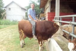 Fajkovići, najstariji proizvođači mlijeka pred velikim izazovom – nastaviti proizvodnju, ili ne