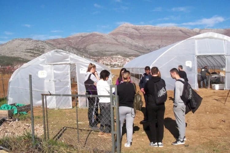 Sadnice za ratare, za đake praksa