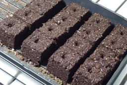 Kocke za rasad: Olakšajte sjetvu i presađivanje biljaka