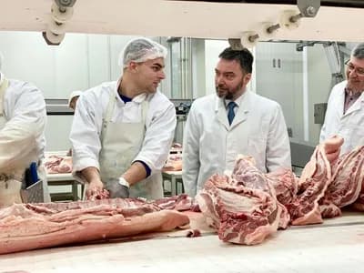 Košarac: Izvoz mesa u Tursku nije zabranjen, već privremeno obustavljen