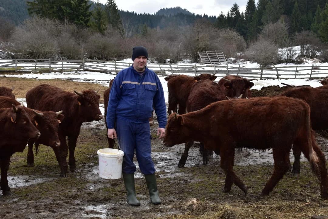 Munib Jusupović začepio usta pesimistima: Vrijedni farmer iz Podžeplja mjesečno zaradi 3.000 maraka