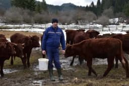 Munib Jusupović začepio usta pesimistima: Vrijedni farmer iz Podžeplja mjesečno zaradi 3.000 maraka