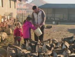 Kod Laktaša gaji najveće guske na svijetu čija mast liječi bronhitis