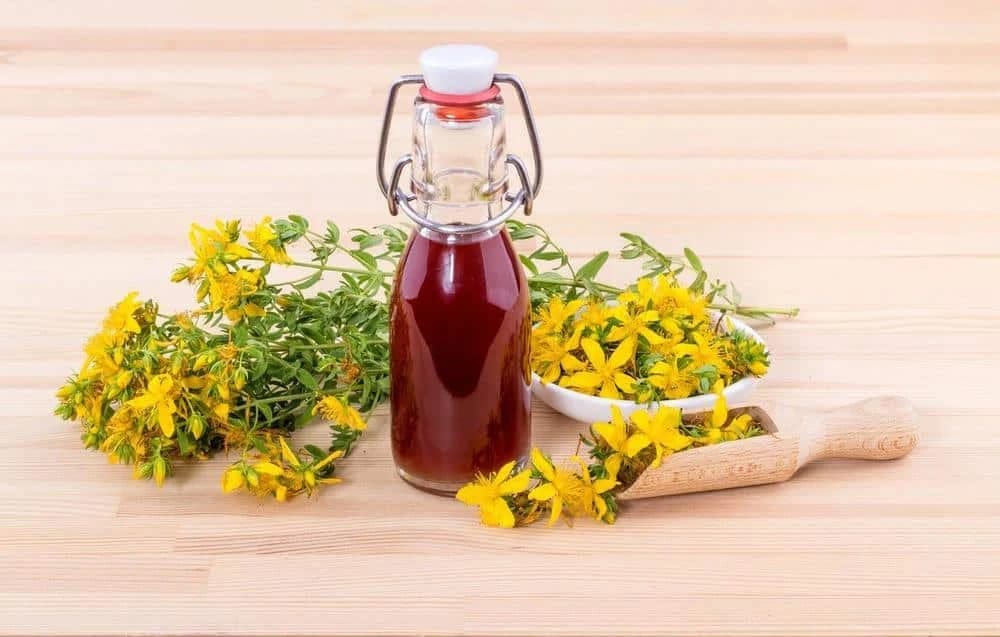 Kantarionovo ulje uvijek treba imati u kući: Jedna bočica za desetak bolesti!