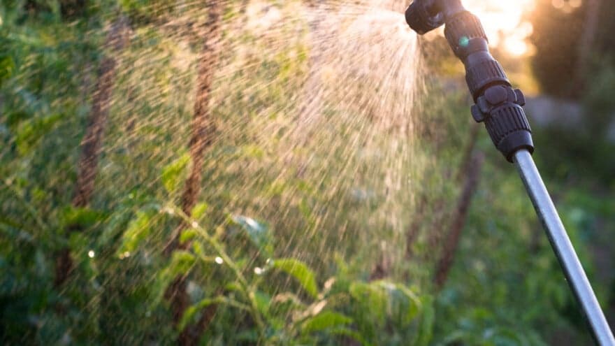 Folijarna prihrana - Važna mjera u postizanju visokih prinosa