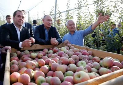 Putinova doktrina prehrambene bezbjednosti već daje dobre rezultate