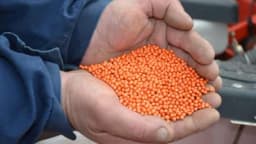 Američko ministarstvo: Kinezi nam šalju sjeme, ne sadite ga