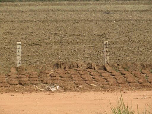 Ovi poljoprivredni proizvodi se sve više prodaju ali i proizvode širom svijeta!