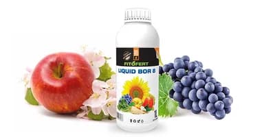 PRIMJENA BORA - Elementa koji povećava otpornost biljaka na sušu i visoke temperature