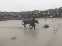 Poplavljena imanja u Crnoj Gori