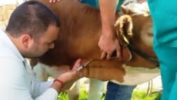 Proizvodnja sigurnih prehrambenih proizvoda - krajnji cilj Vlade FBiH