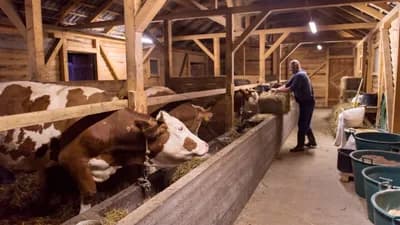 Reakcija Udruženja mljekara povodom novonastale situacije