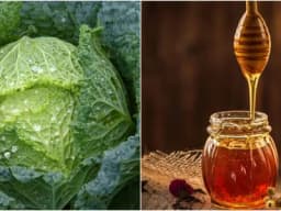 Kako izliječiti uporan kašalj i bronhitis sa listom kupusa i medom za 5 dana!