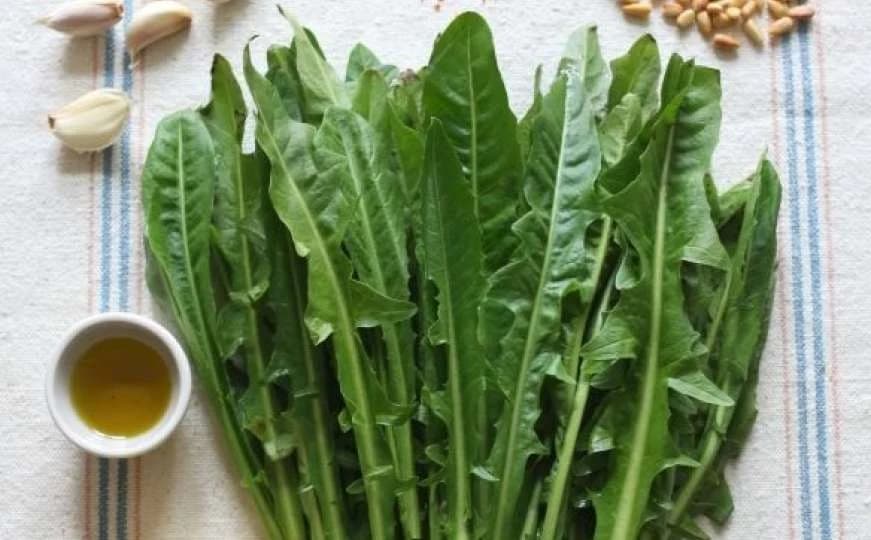 Nalazi se u svakom vrtu, jako je ljekovit, ali samo neki znaju kako ga koristiti!