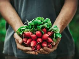 Rotkvica nije zahtjevno povrće, a prva berba dolazi jako brzo!