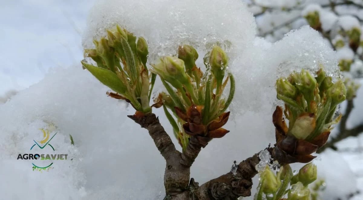 Pogledajte kakvo nas vrijeme očekuje narednih dana