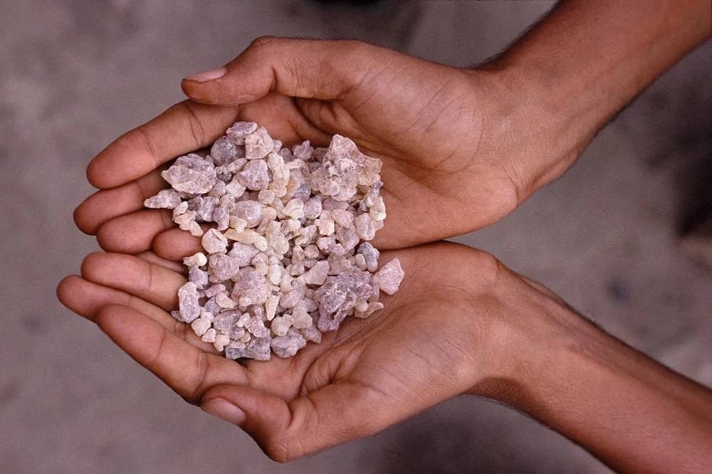 Tamjan ubija sve viruse u vazduhu i liječi pluća!