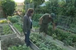 Obogatili se na zemljištu od 4 ara: Ovo može da uradi svako ko ima dvorište! /VIDEO/