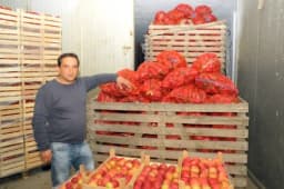 Poljoprivrednici iz Bijeljine traže zabranu uvoza ranog povrća iz Italije i Španije