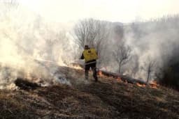 Gorio šljivik u Milićima